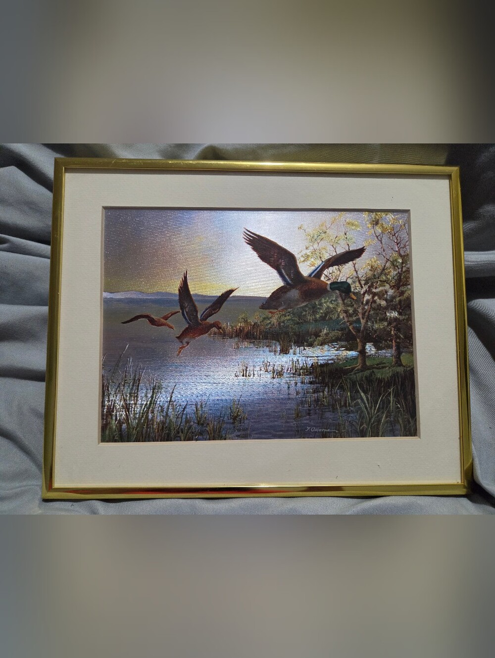 Mallard Ducks Lake Print Wall Art - Green and Brown